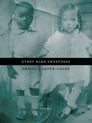 cover image of Every Hard Sweetness